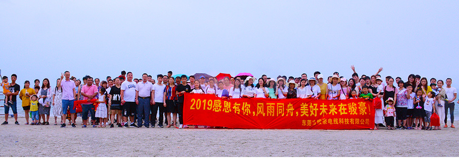 2019年ylg060net永利娱高团队惠州行